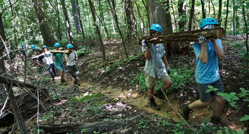 Students wearing helmets and gloves carry tree branches along a trail in a wooded area. 